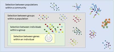 Microbial Group Dynamics in Plant Rhizospheres and Their Implications on Nutrient Cycling